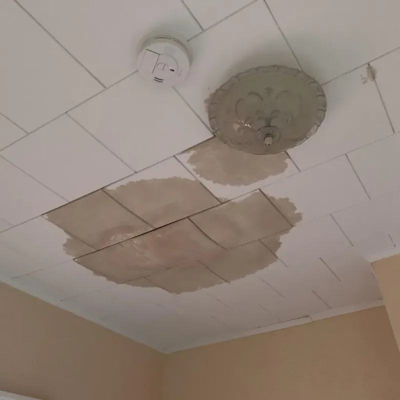 Ceiling Water Damage Repair in Evangeline Parish, LA